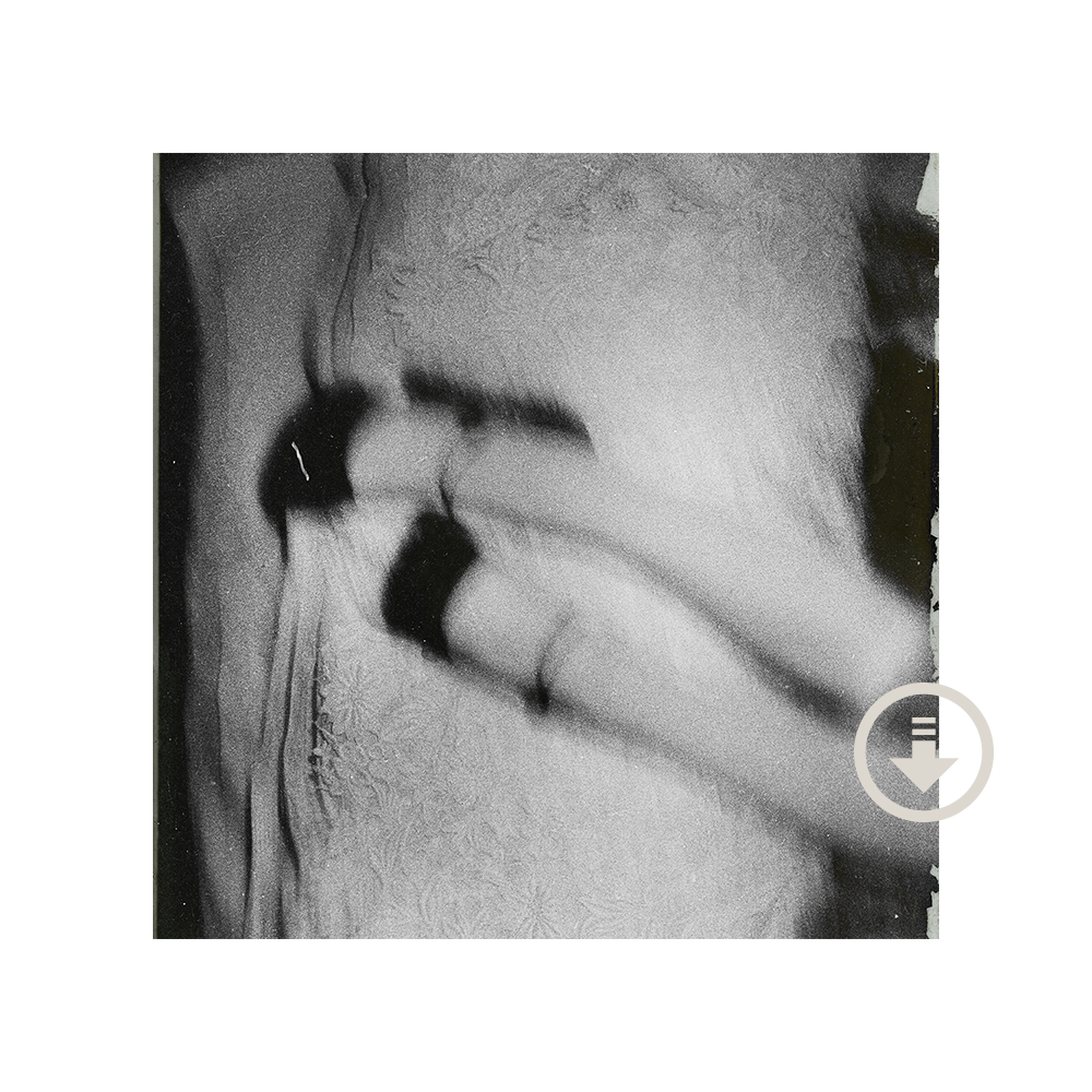 petal process is fun, voice notes digital album (store exclusive)